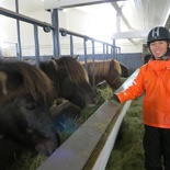 iceland-horse-ride-024