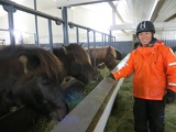 iceland-horse-ride-024