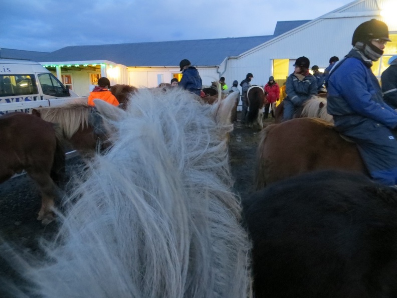 iceland-horse-ride-031