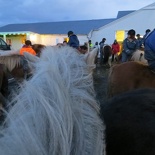 iceland-horse-ride-031