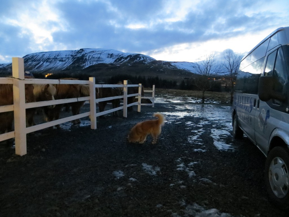 iceland-horse-ride-029