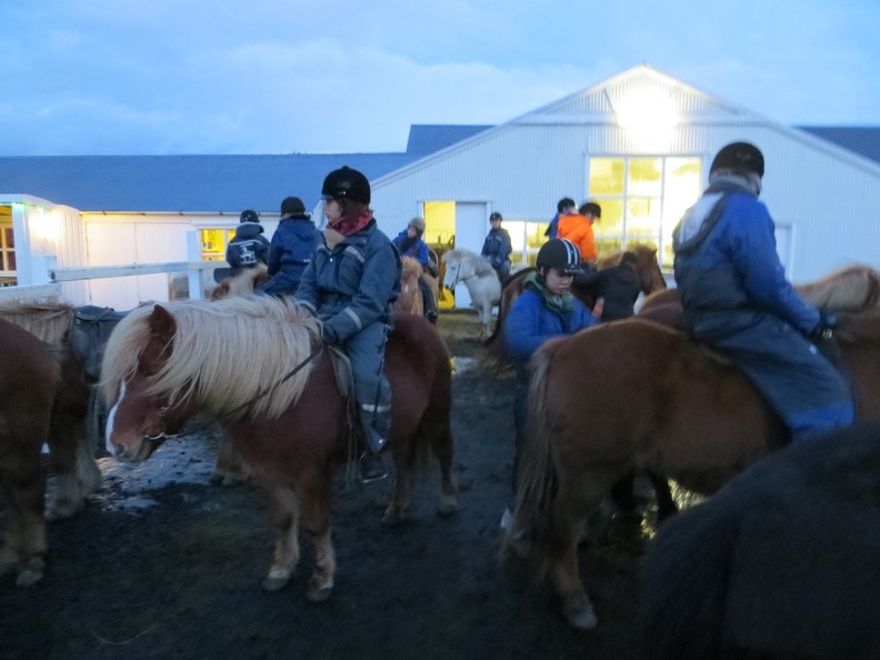 iceland-horse-ride-032.jpg