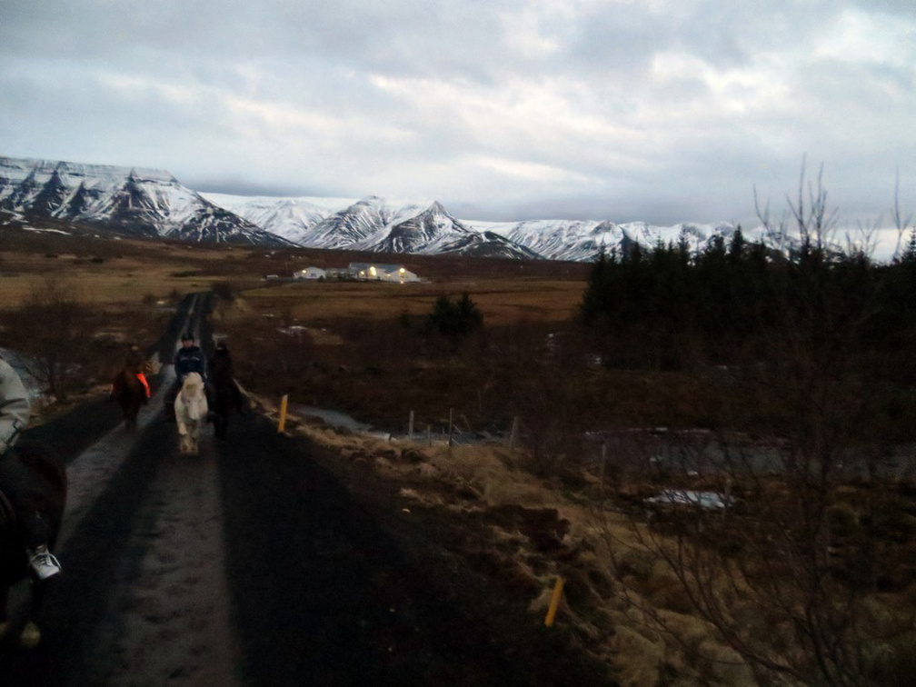 iceland-horse-ride-038