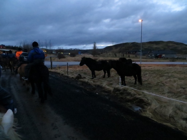 iceland-horse-ride-039.jpg