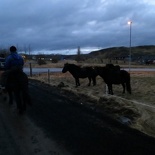 iceland-horse-ride-039