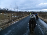 iceland-horse-ride-041