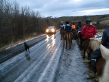 iceland-horse-ride-044