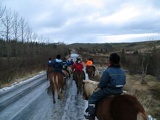 iceland-horse-ride-045