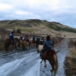 iceland-horse-ride-049