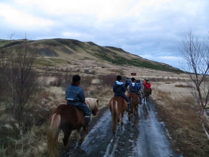 iceland-horse-ride-050.jpg