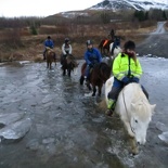 iceland-horse-ride-055