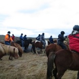 iceland-horse-ride-056