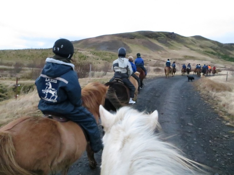 iceland-horse-ride-057.jpg