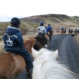 iceland-horse-ride-057