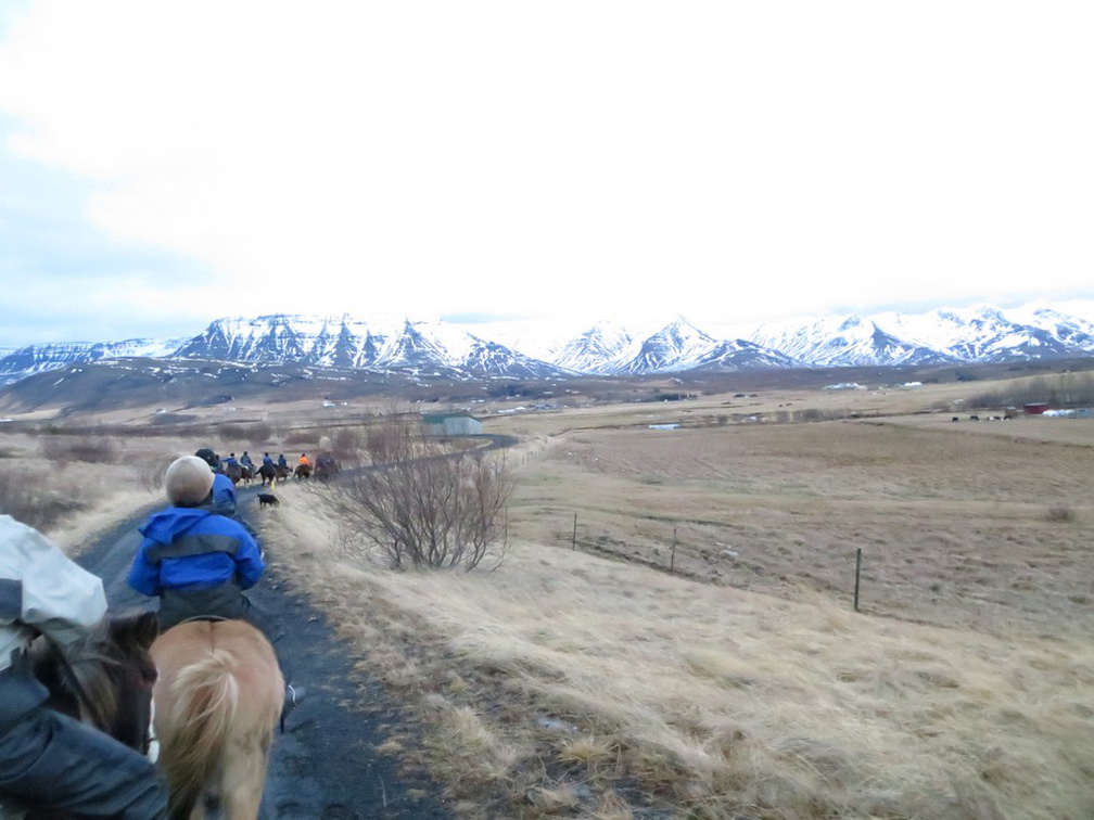 iceland-horse-ride-058