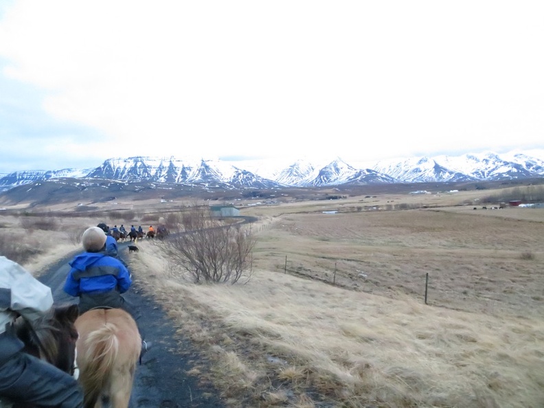 iceland-horse-ride-058.jpg