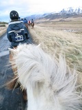 iceland-horse-ride-059