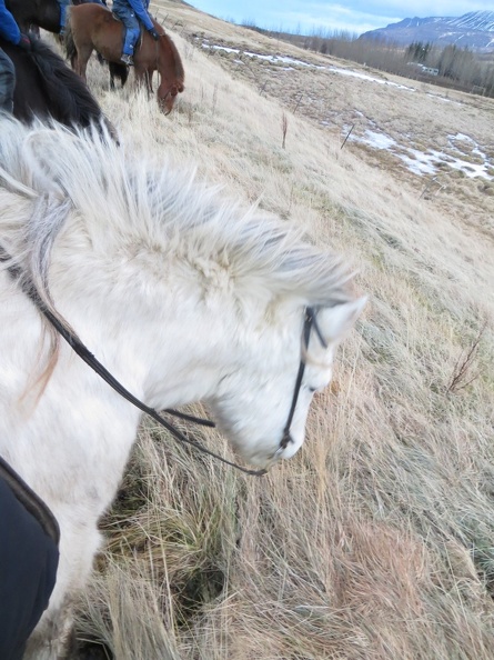 iceland-horse-ride-062.jpg