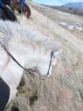 iceland-horse-ride-062