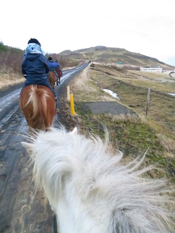 iceland-horse-ride-063