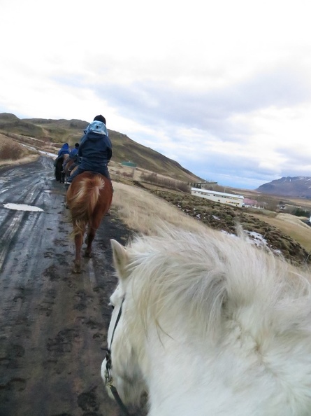 iceland-horse-ride-066.jpg