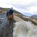 iceland-horse-ride-066