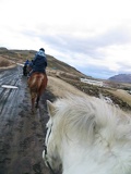 iceland-horse-ride-066