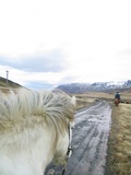 iceland-horse-ride-067