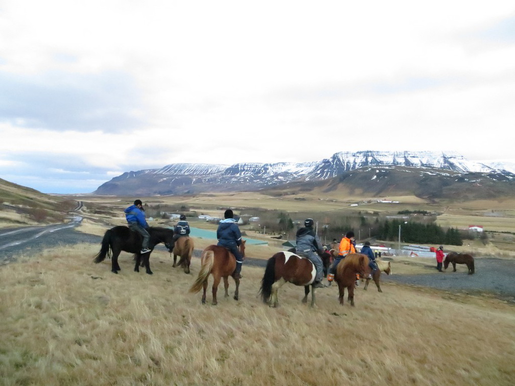 iceland-horse-ride-068