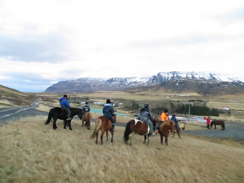 iceland-horse-ride-068.jpg