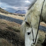 iceland-horse-ride-069