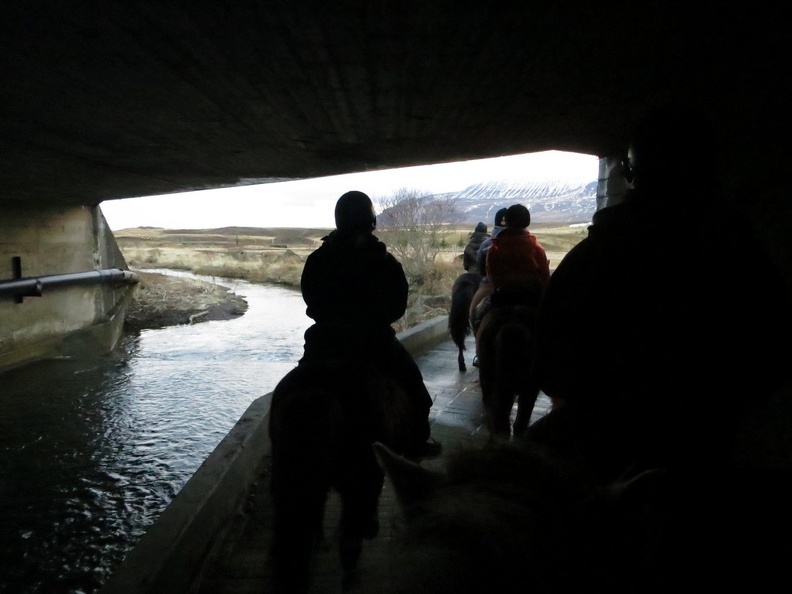 iceland-horse-ride-073.jpg