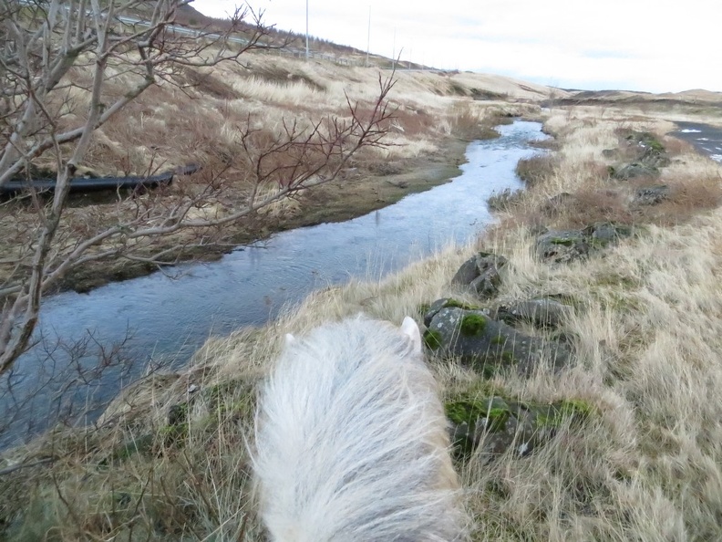 iceland-horse-ride-075