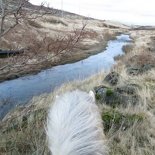 iceland-horse-ride-075