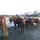 iceland-horse-ride-076
