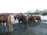 iceland-horse-ride-076