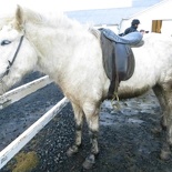 iceland-horse-ride-077.jpg