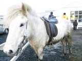 iceland-horse-ride-078