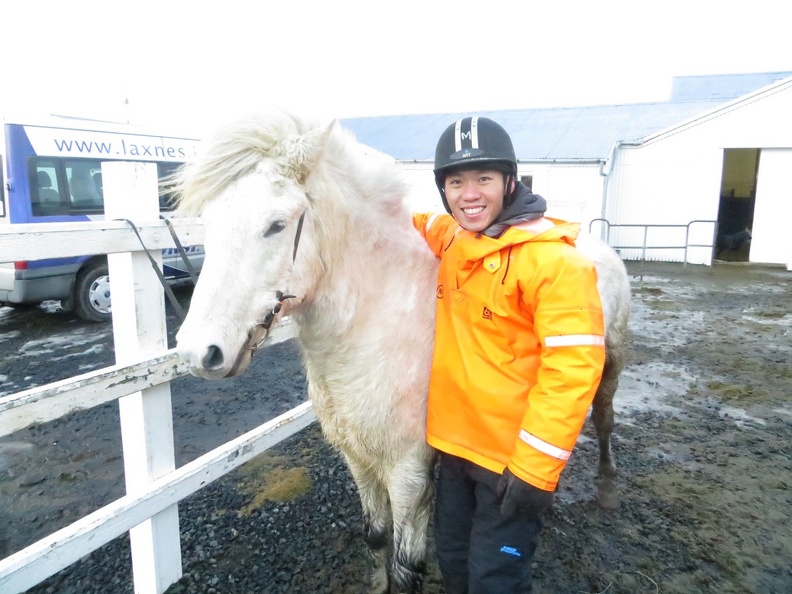 iceland-horse-ride-080.jpg