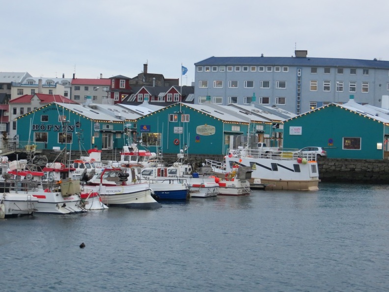 iceland-whale-watching-012