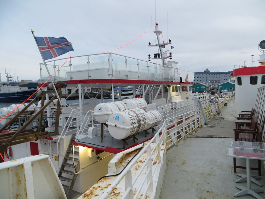 iceland-whale-watching-014