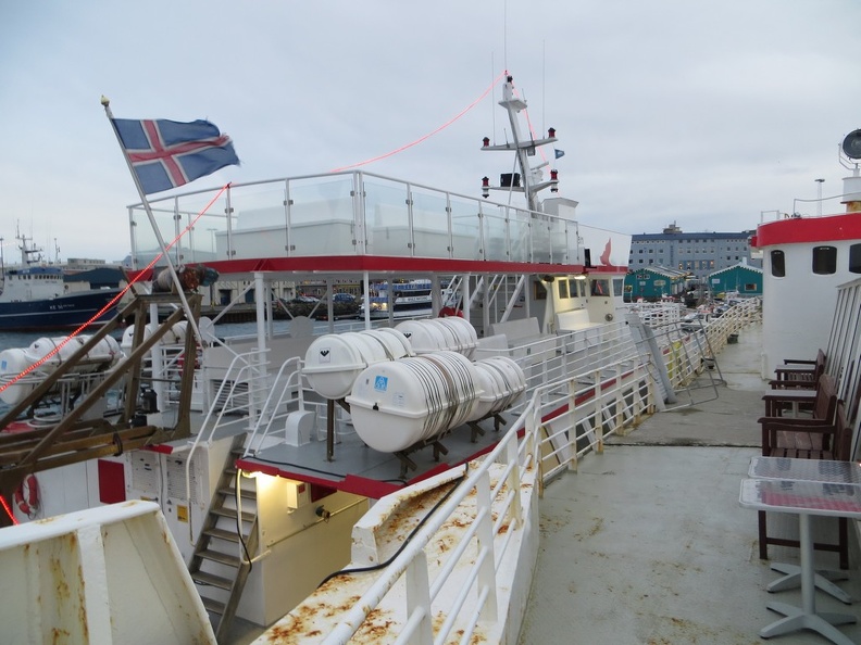 iceland-whale-watching-014.jpg