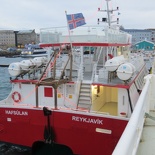 iceland-whale-watching-016.jpg