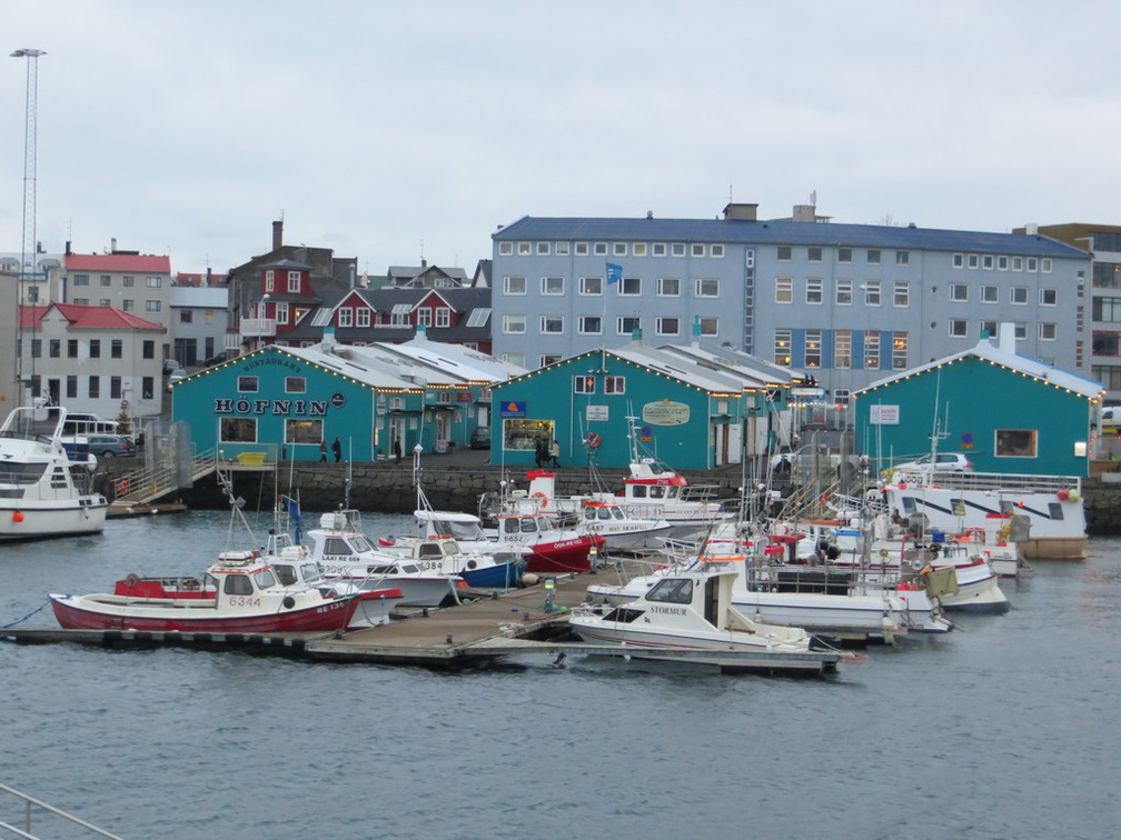 iceland-whale-watching-020