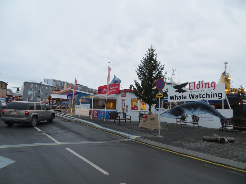 iceland-whale-watching-021