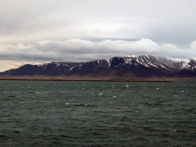 iceland-whale-watching-035