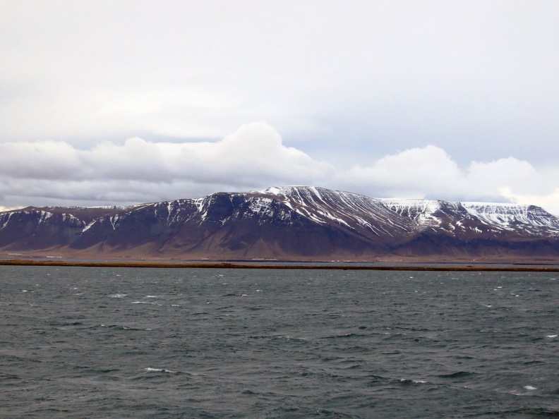 iceland-whale-watching-037