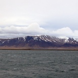 iceland-whale-watching-037