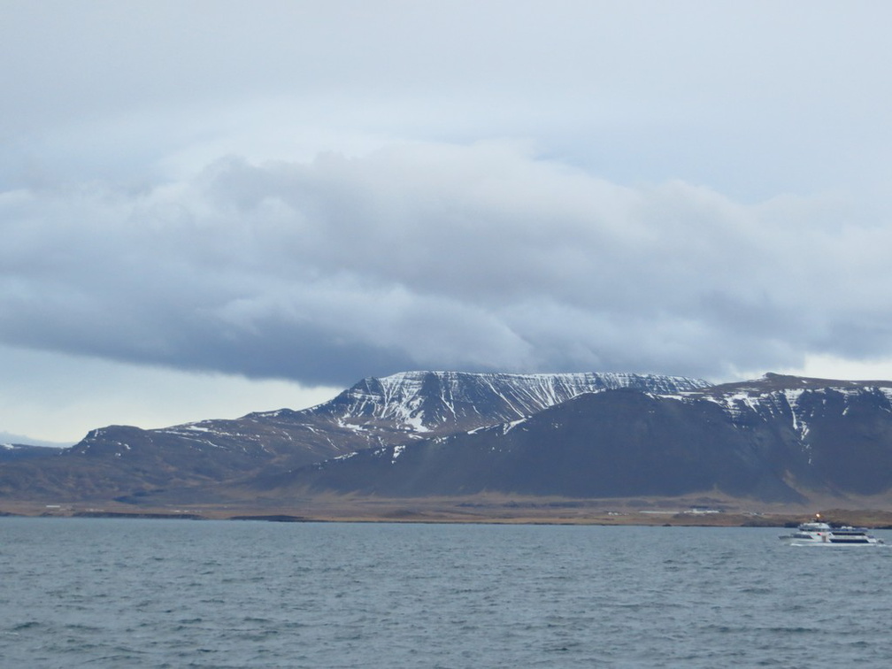 iceland-whale-watching-041