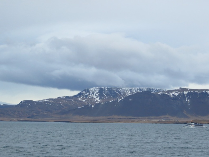 iceland-whale-watching-041.jpg